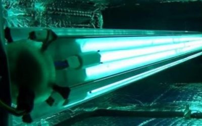 News 5 LAMPADA UV-C GERMICIDA A LED