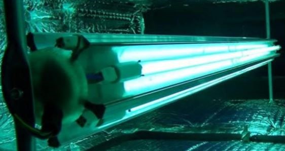 LAMPADA UV-C GERMICIDA A LED