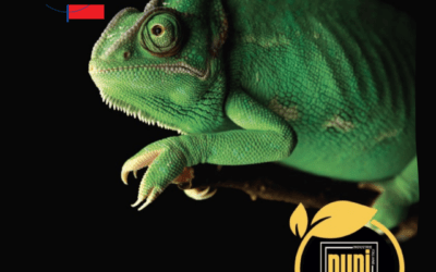 Villa Impianti e NUPI Industrie Italiane: una partnership di successo per l’innovazione