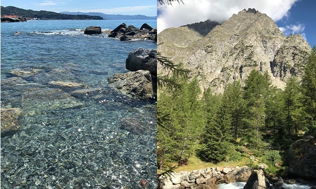 Buone vacanze a voi! Noi Operativi!